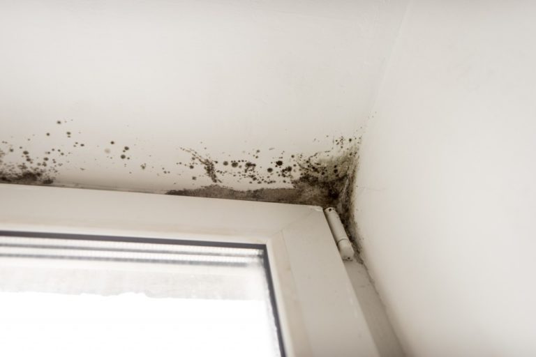 Home Maintenance