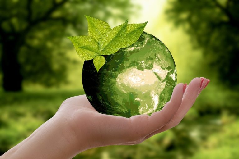 holding green globe