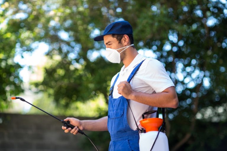 pest control service