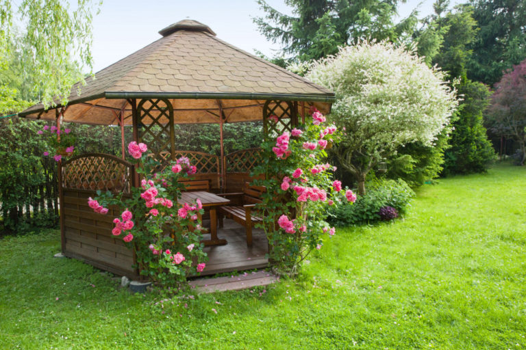lawn garden