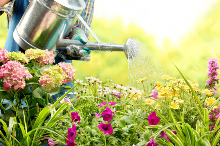 gardening concept