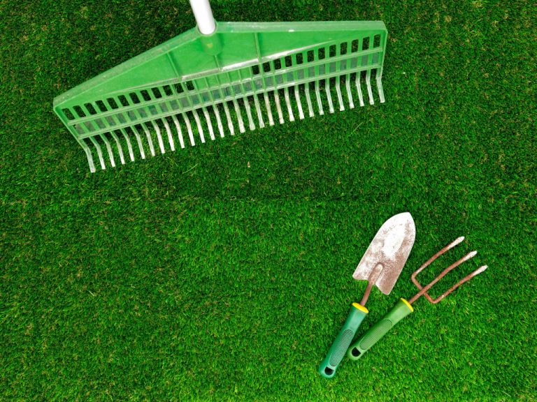 lawn concept