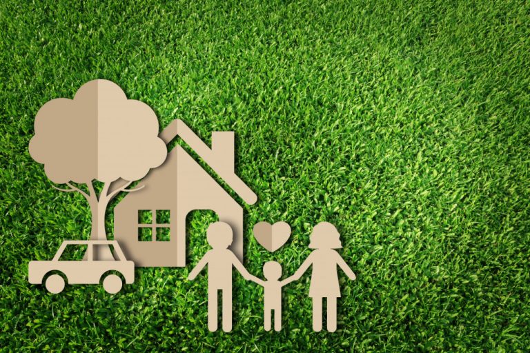 Eco-friendly Home Renovation