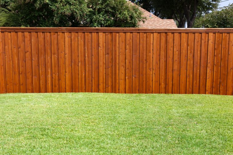 fence