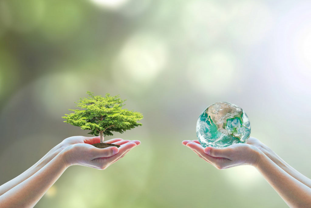 hand holding a miniature tree and another one holding a miniature globe