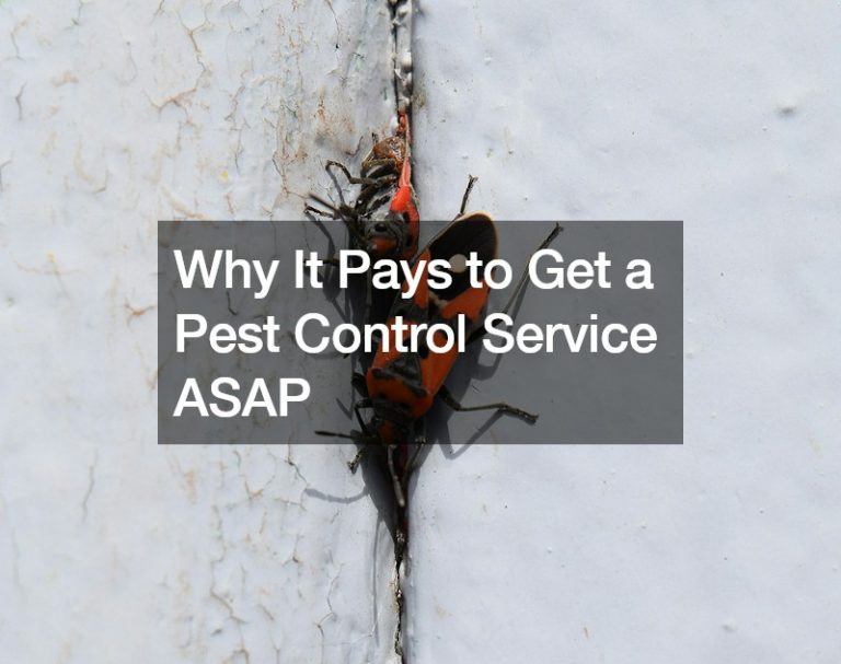 Why It Pays to Get a Pest Control Service ASAP