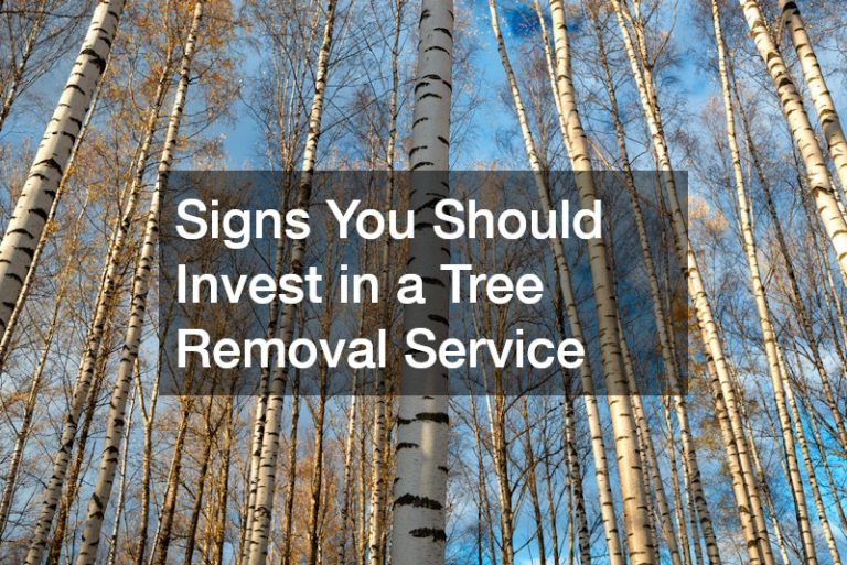 Signs You Should Invest in a Tree Removal Service