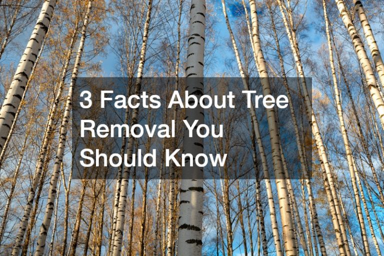 3 Facts About Tree Removal You Should Know