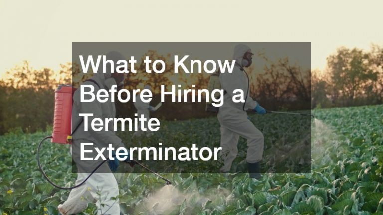 What to Know Before Hiring a Termite Exterminator